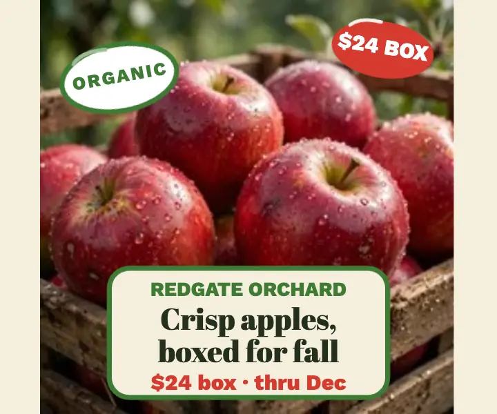 Redgate Orchard apples harvest box ad template