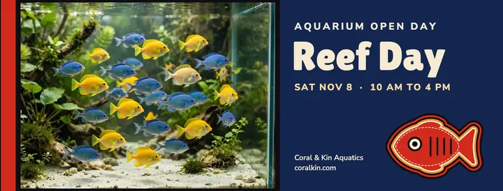 Coral & Kin Aquatics reef day cover template