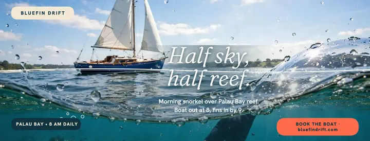 Bluefin Drift reef snorkel cover template