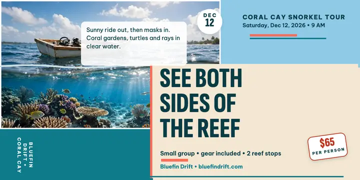 Bluefin Drift reef snorkel split post template