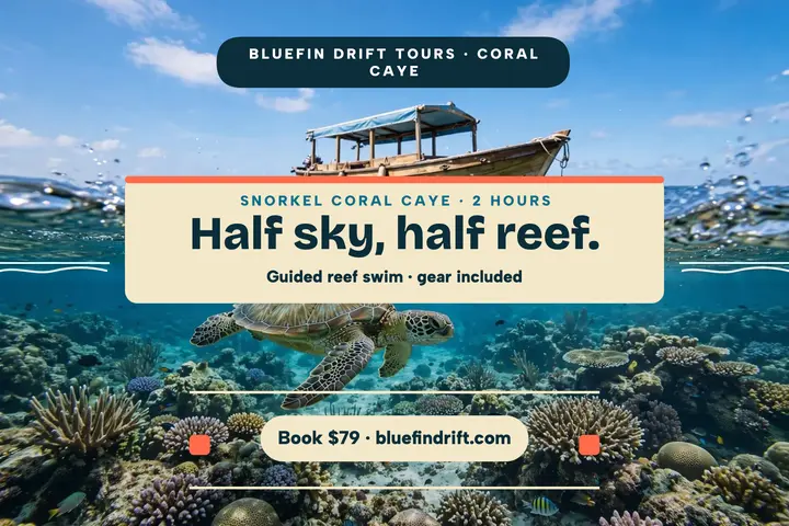 Bluefin Drift reef snorkel postcard: snorkel tour postcard template