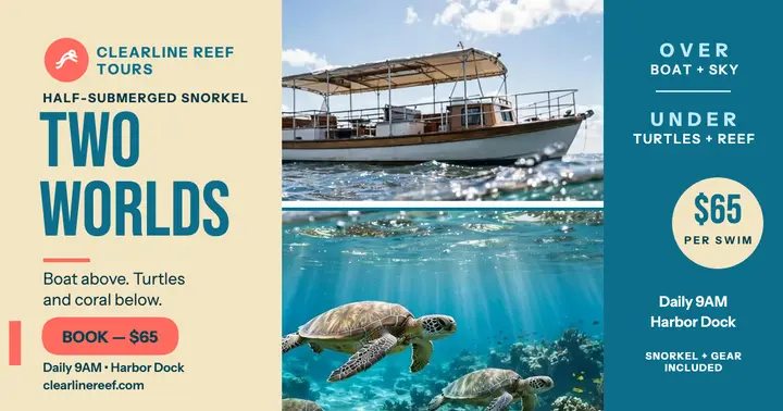 Clearline reef split snorkel tour post template