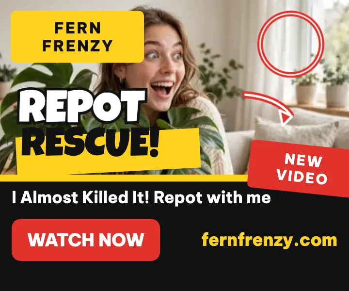 Fern Frenzy repot rescue thumbnail ad template