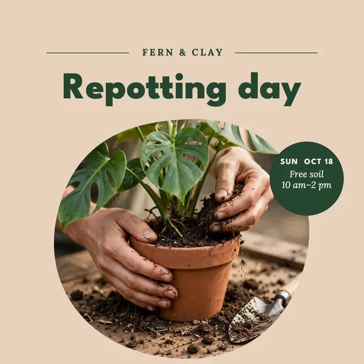 Repotting day plant shop post template