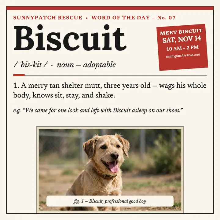 Biscuit rescue dog dictionary post template
