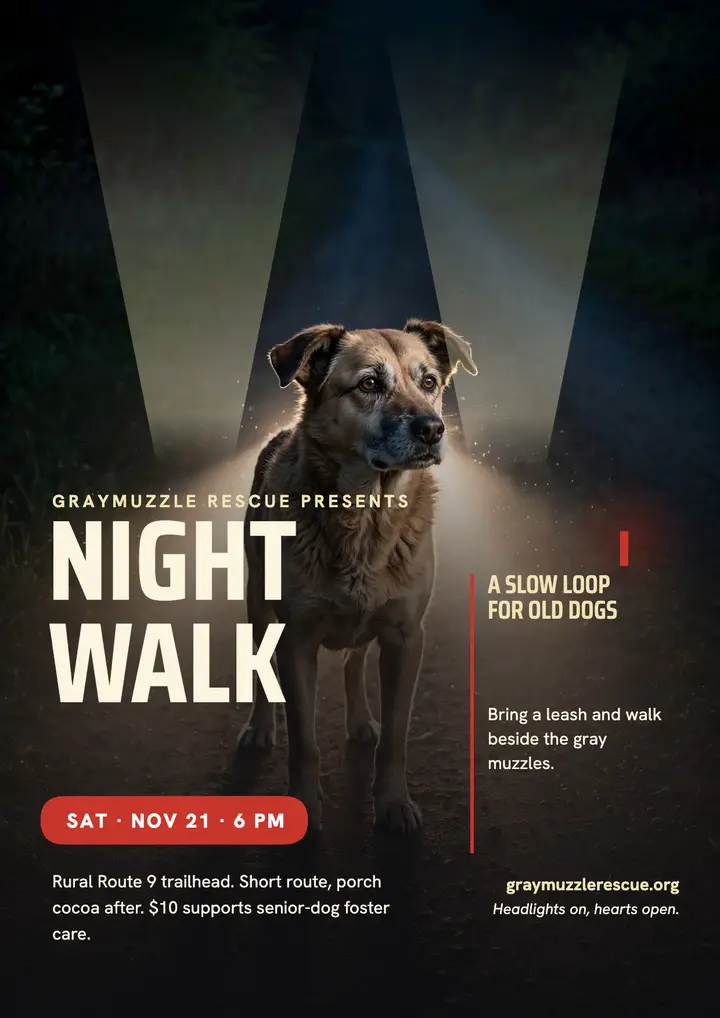 Graymuzzle senior dog night walk flyer template