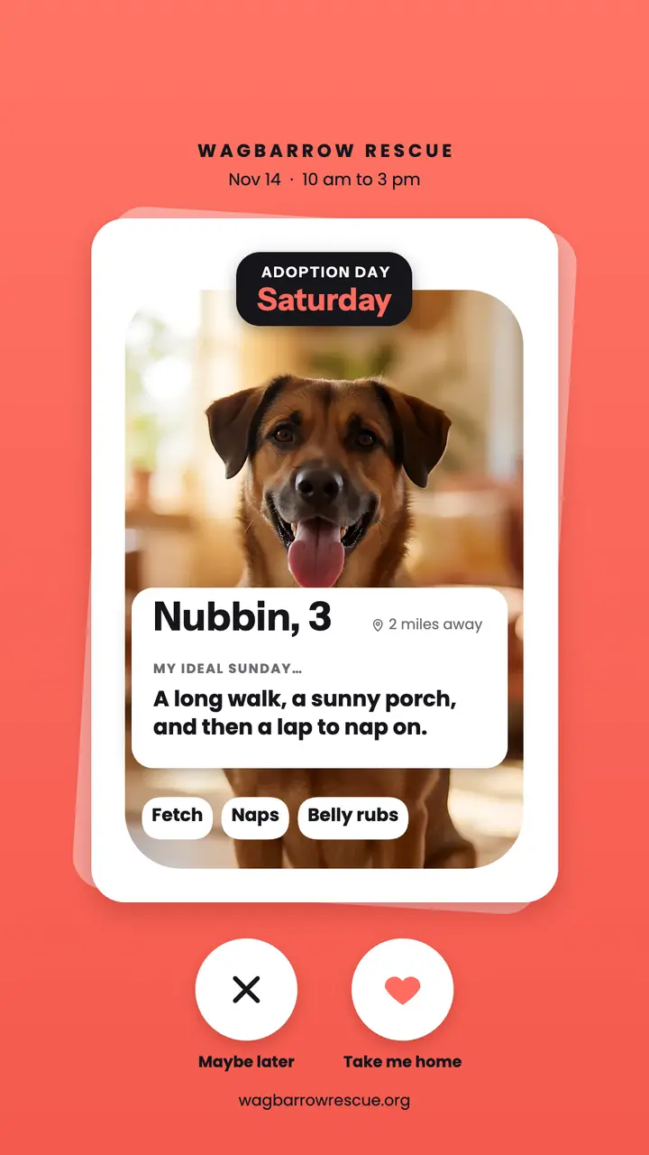Nubbin rescue dog swipe profile adoption story template