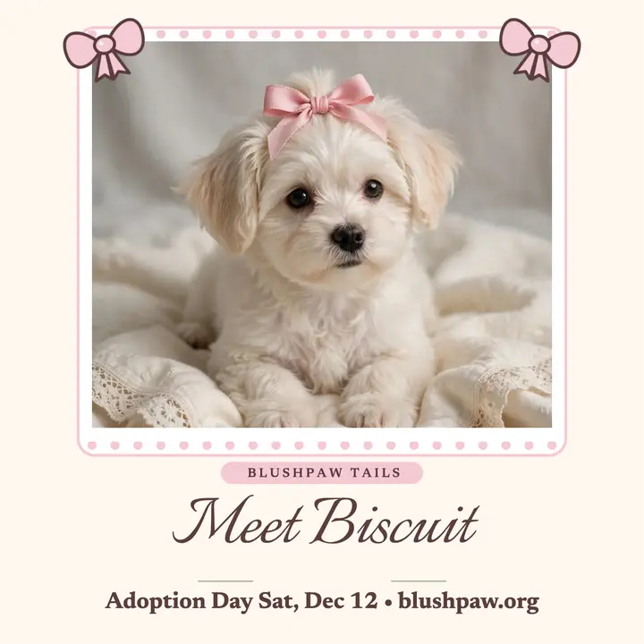 Meet Biscuit ribbon puppy podcast cover template