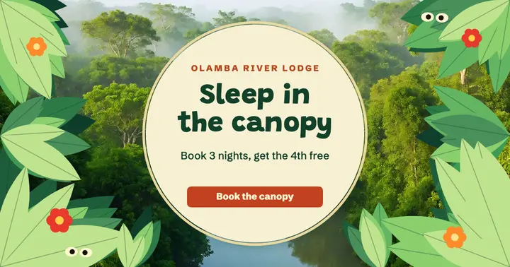 Olamba river lodge naive jungle post template