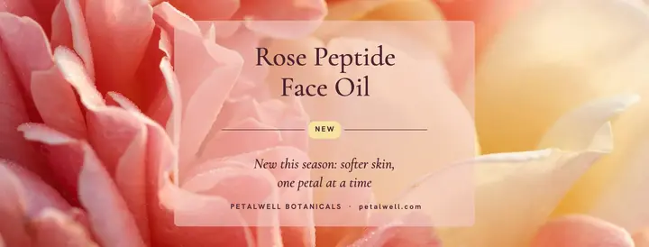 Petalwell rose peptide face oil launch cover template