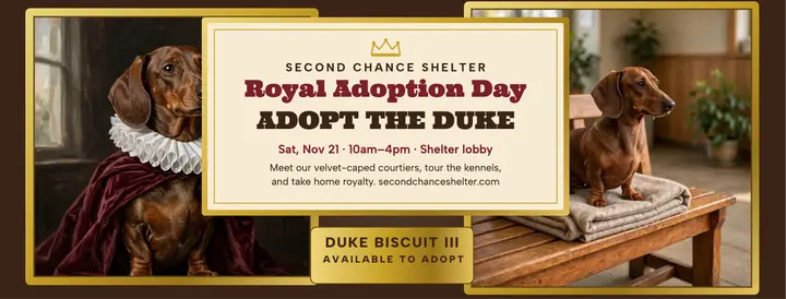 Royal dachshund adoption day cover template