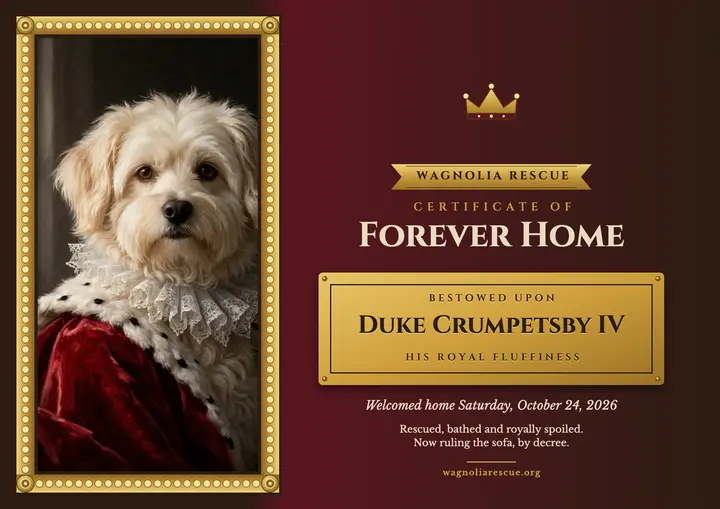 Royal dog adoption day certificate, Wagnolia Rescue template
