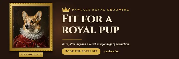 Royal groom dog spa, gilded portrait: dog grooming spa banner template