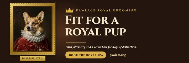 Royal groom dog spa, gilded portrait template