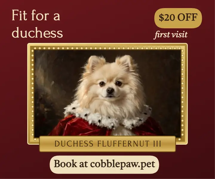 Cobblepaw royal grooming ad template