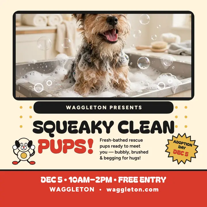 Waggleton sudsy pup adoption bash template