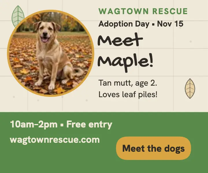 Maple dog adoption ad leaf rubbing template