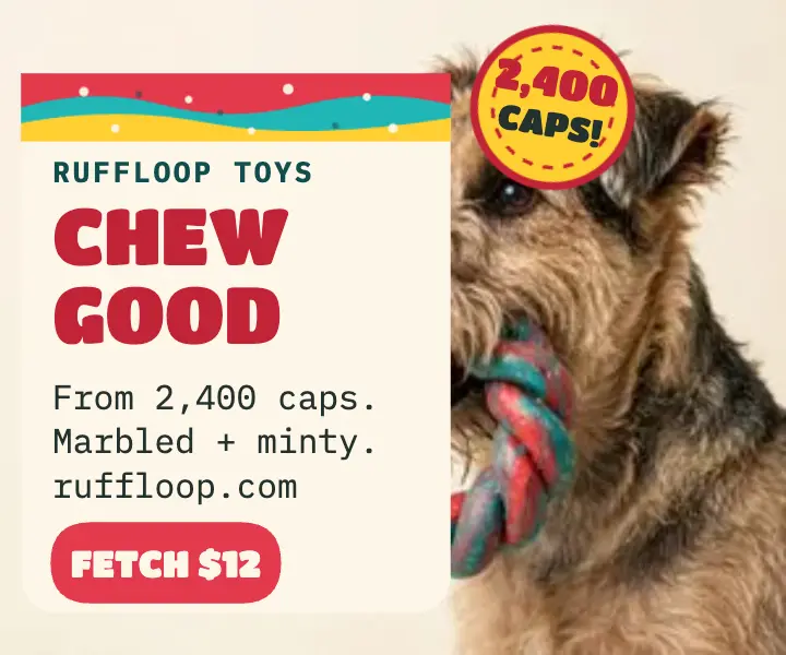 Ruffloop recycled chew toy ad template