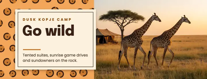 Safari lodge cover, leopard wild print template