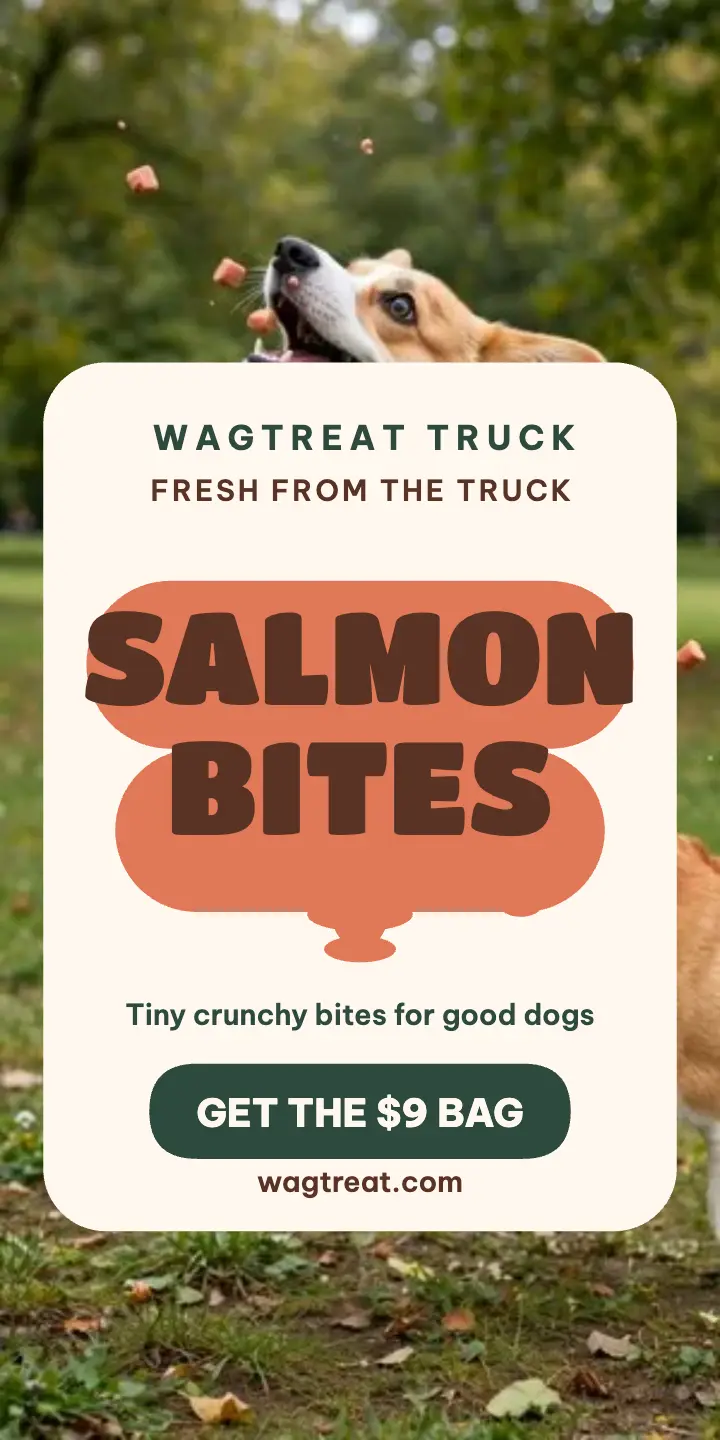 Wagtreat salmon bites treat truck ad template