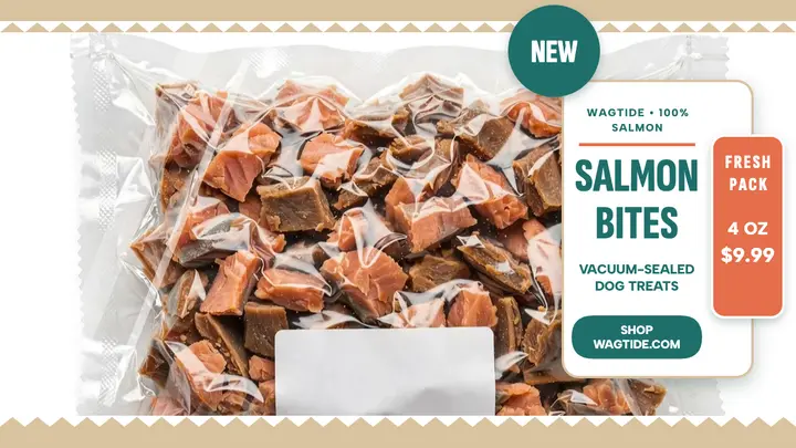 Wagtide Salmon Bites thumbnail template