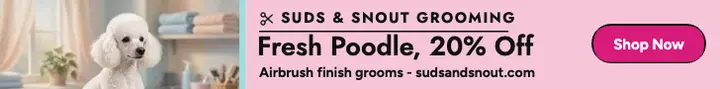 Suds and Snout poodle sale leaderboard: pet grooming sale ad template