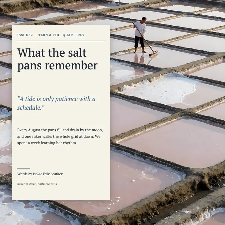 Salt pans essay pull quote, explorecore template