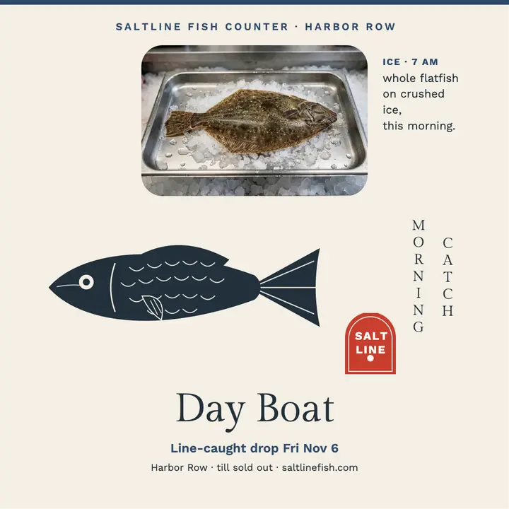 Saltline day-boat catch post template