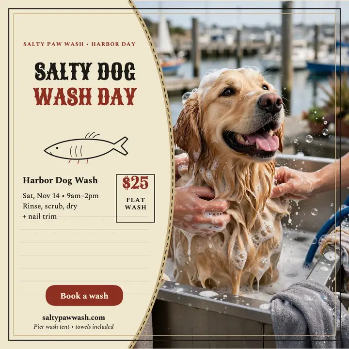 Salty dog harbor wash day post template