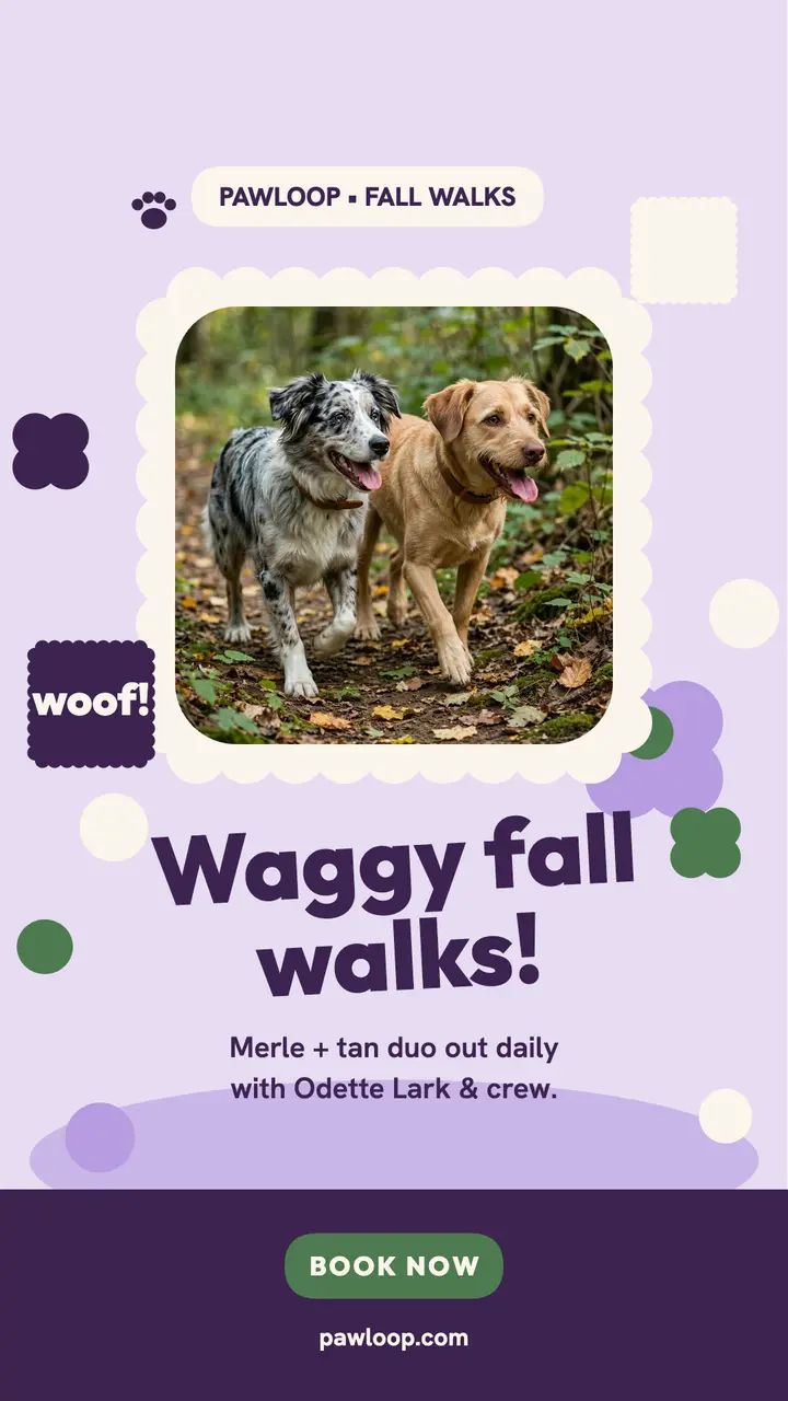 Pawloop fall walks scallop story template