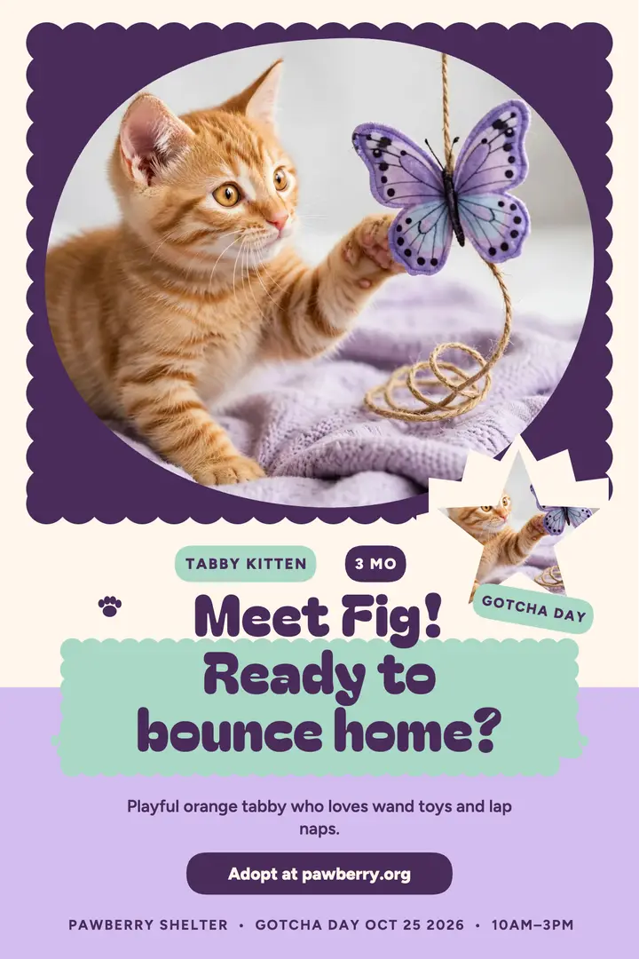 Fig tabby kitten adoption poster template