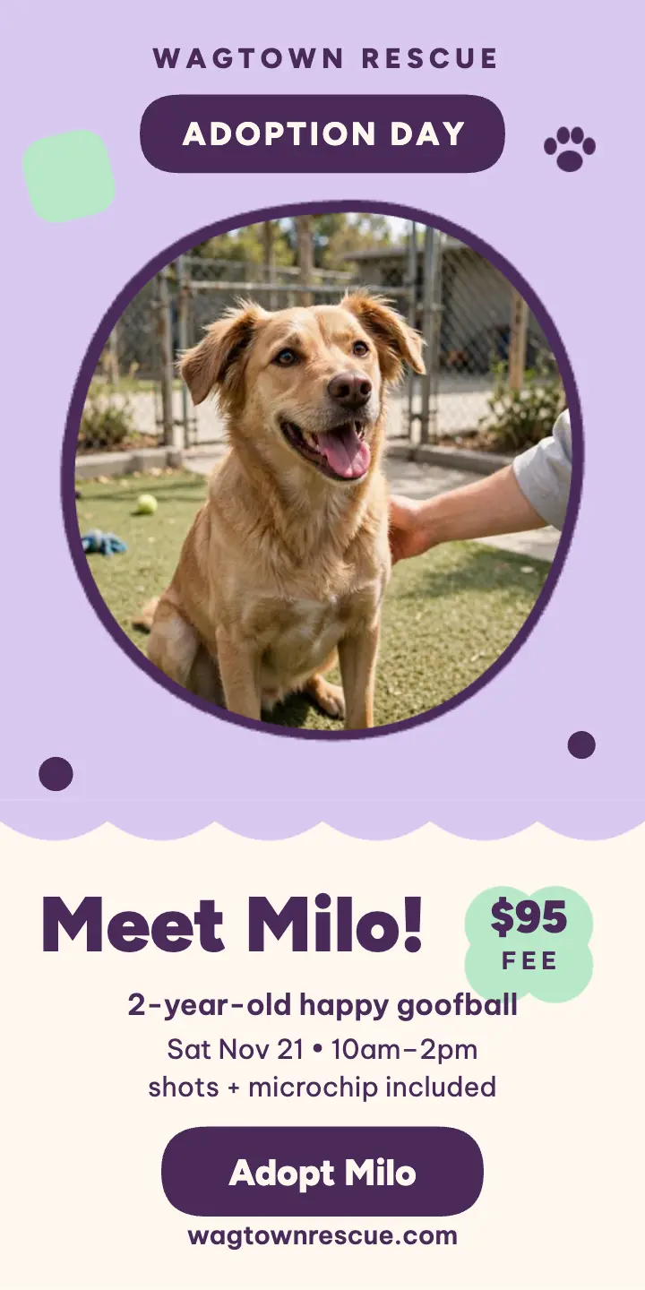 Milo adoption day half-page ad template