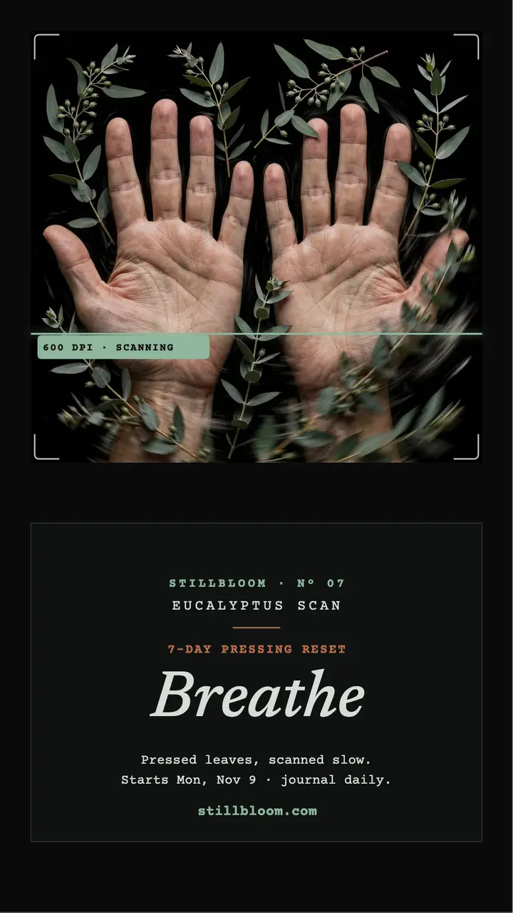 Stillbloom pressed eucalyptus calm story: journaling story template