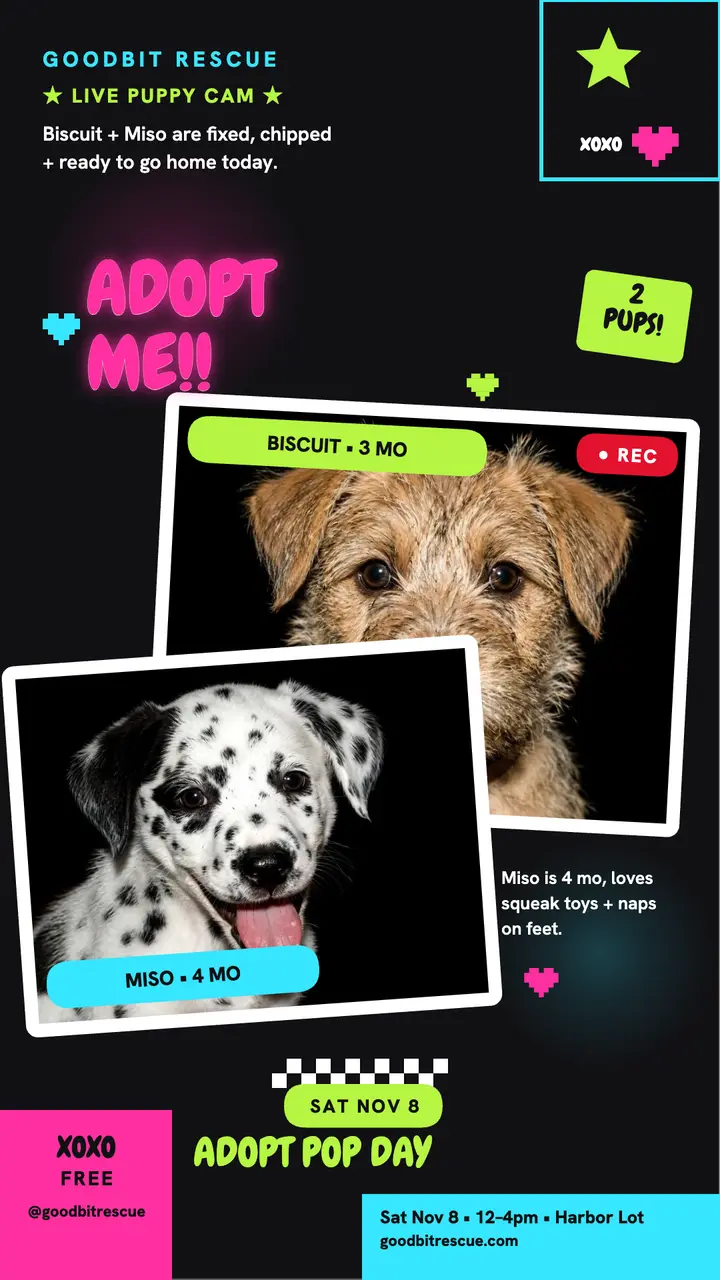 Goodbit puppy cam adoption story template