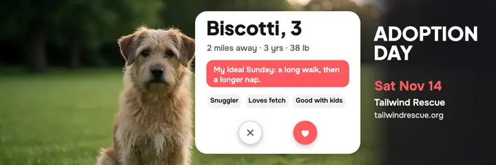 Tailwind Rescue adoption day profile header template