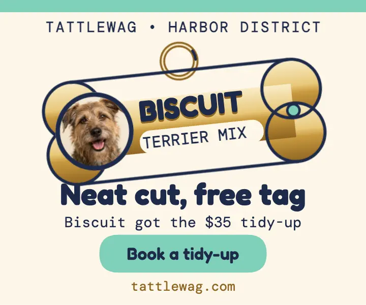 Tattlewag bone tag groomer ad template