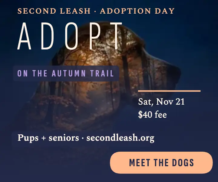 Second Leash autumn trail adoption day ad template