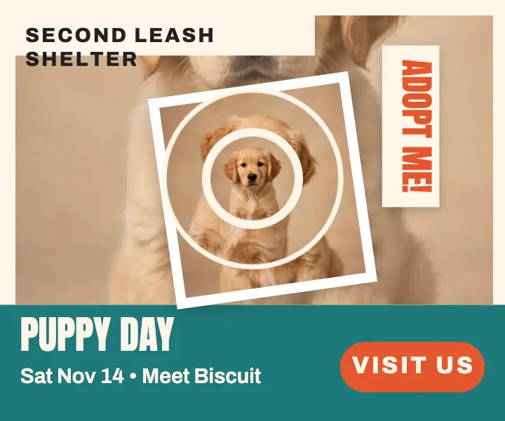 Second Leash puppy day mini ad template