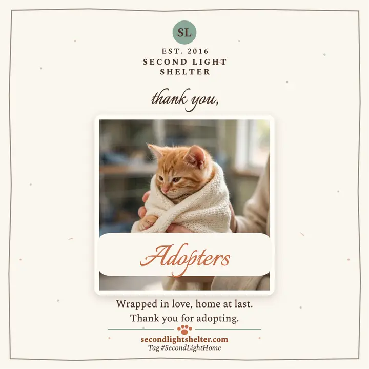 Second Light Shelter adoption thank you template