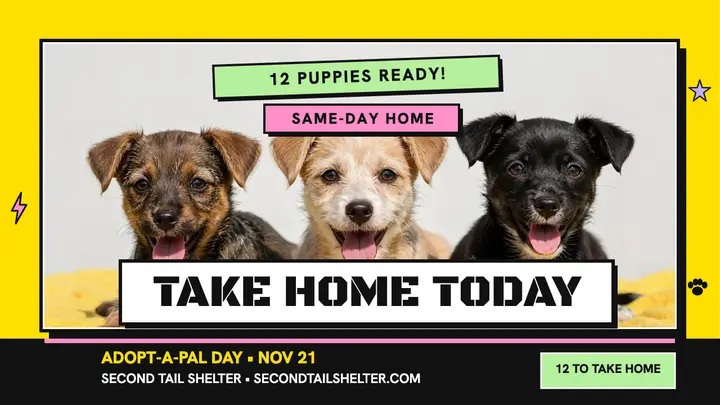 Second Tail puppy adoption day thumbnail template