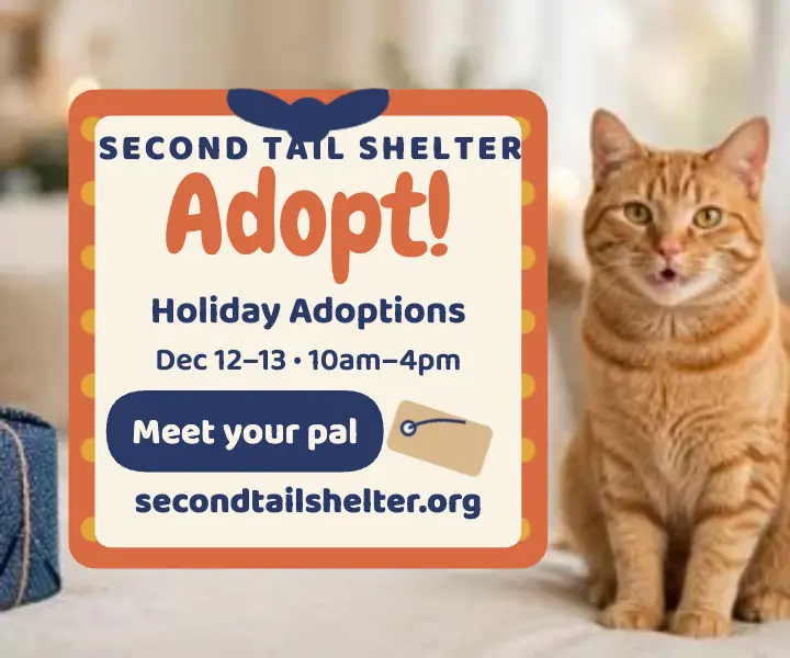 Second Tail holiday adoption furoshiki ad template