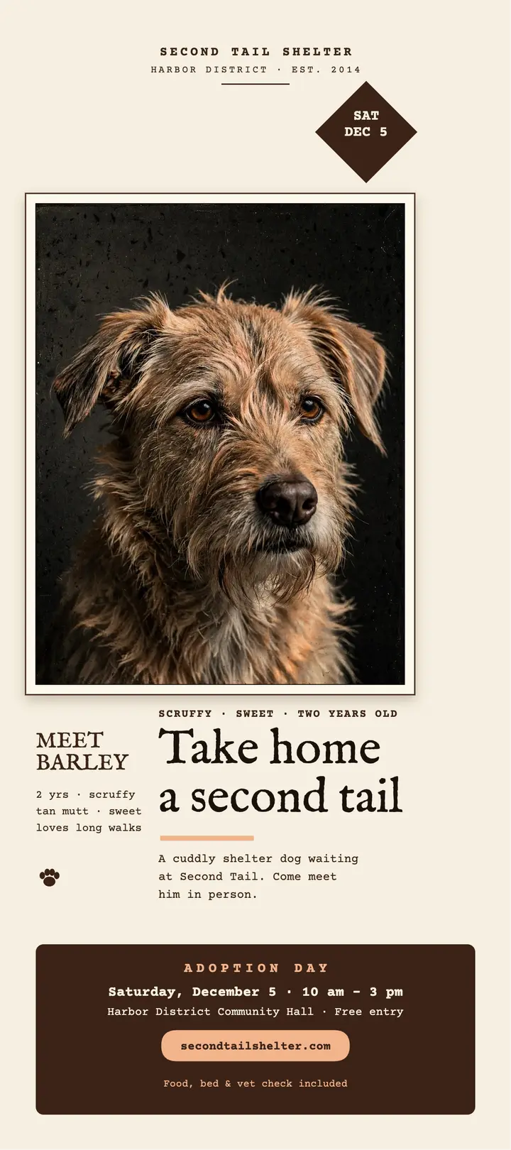 Second Tail adoption day lith rack card template