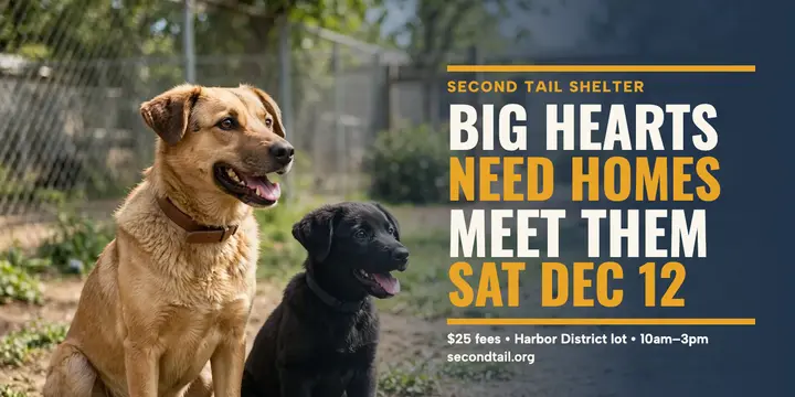 Second Tail Shelter adoption day post template