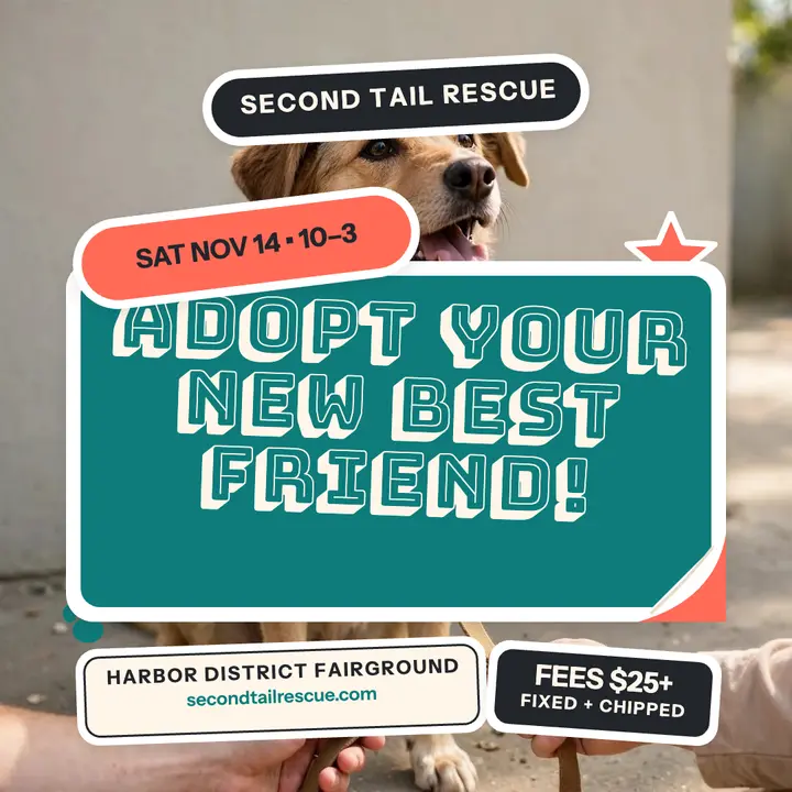 Second Tail adoption day sticker post template