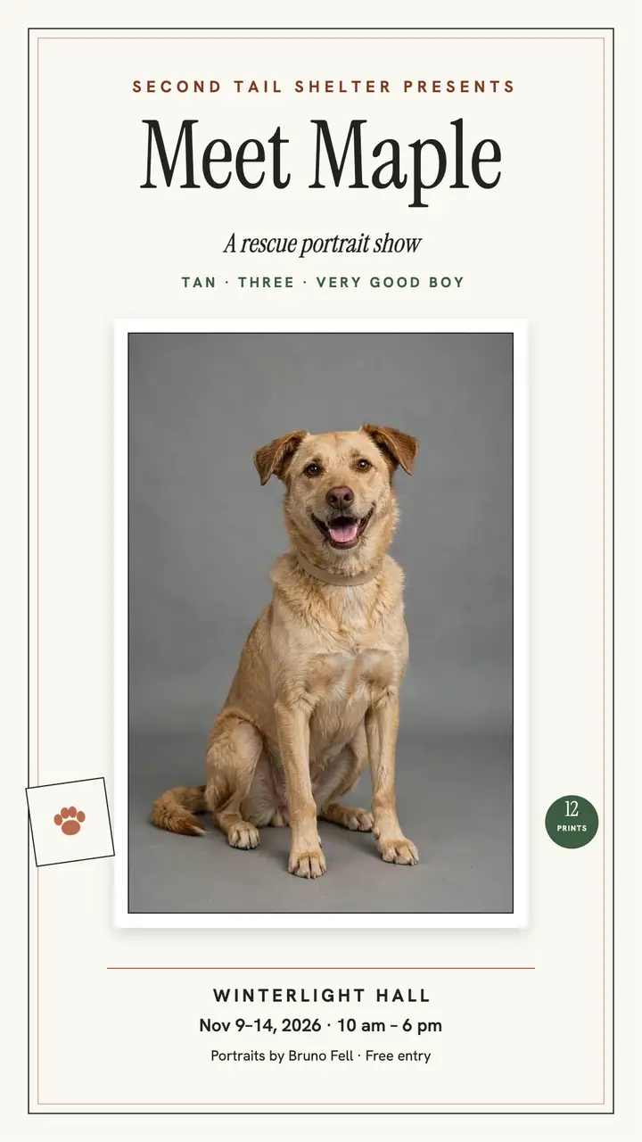 Second Tail Maple rescue portrait show template