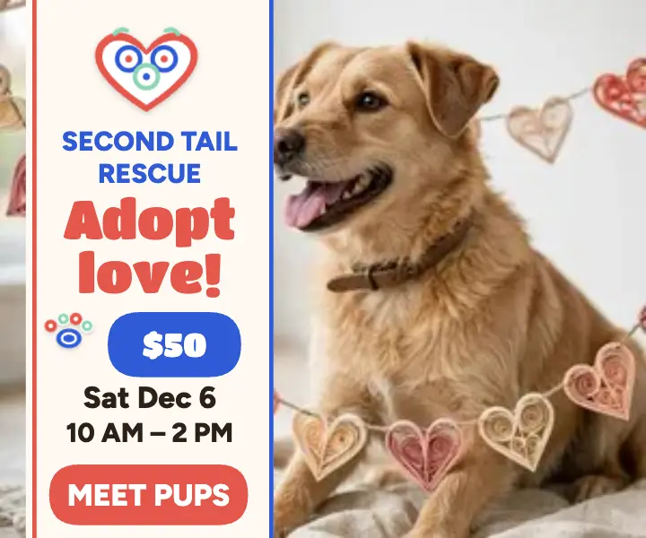 Second Tail quilled adoption day ad template