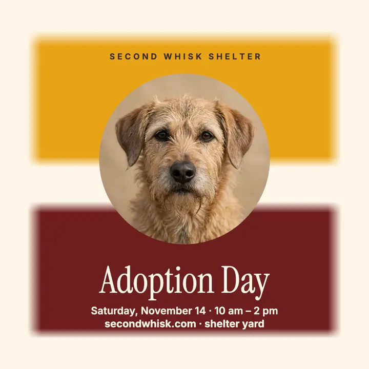 Second Whisk Shelter adoption day post template