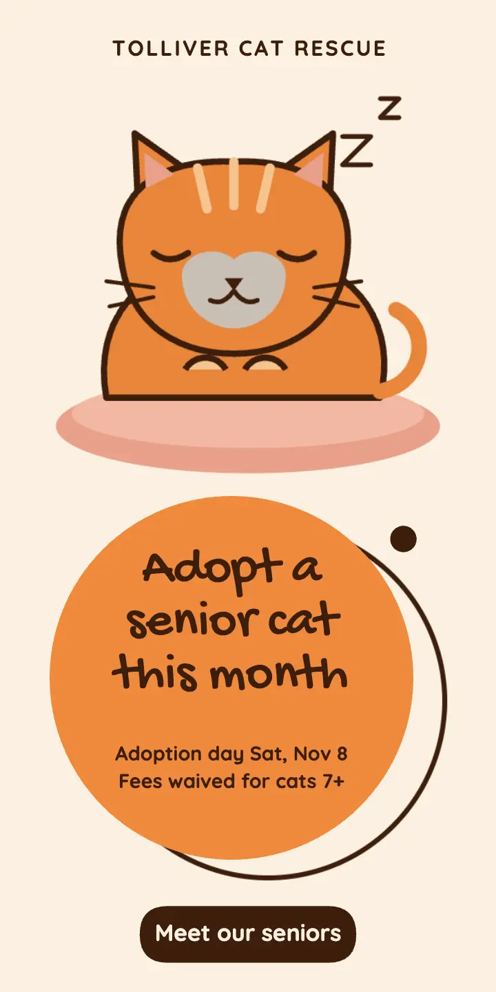 Adopt a Senior Cat ad template