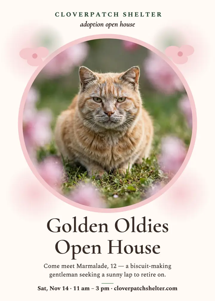 Cloverpatch senior cat open house invitation template