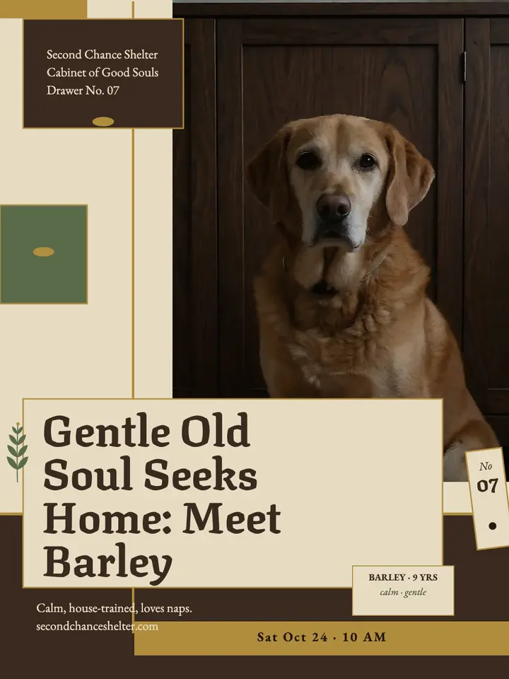 Barley senior dog adoption portrait template